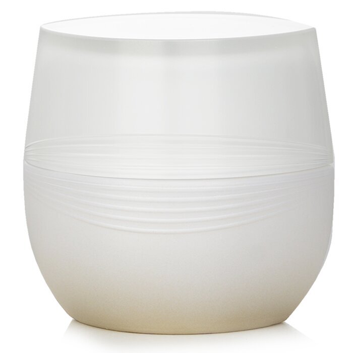 Kanebo Sensai Absolute Silk Cream 40ml