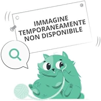 Dr. Hauschka Med Ice Plant Shampoo 150ml